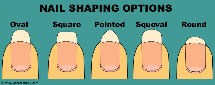 The basic shapes for finger nails